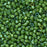 Miyuki Delica Seed Beads, 11/0 Size, #1786 White Lined Light Green AB (7.2 Gram Tube)