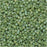 Miyuki Delica Seed Beads, 11/0 Size, #2310 Frost Opaque Glaze Rainbow Kiwi (7.2 Gram Tube)