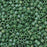 Miyuki Delica Seed Beads, 11/0 Size, #2311 Frost Opaque Glaze Rainbow Green (7.2 Gram Tube)