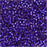 Miyuki Delica Seed Beads, 11/0 Size, Silver Lined Violet DB610 (2.5" Tube)