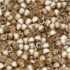 Miyuki Delica Seed Beads, 11/0 Size, Silver Lined Variegated Taupe DB671 (2.5