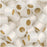Miyuki Delica Seed Beads, 15/0 Size, Gilt Lined White DBS221 (4 Grams)