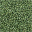 Miyuki Round Seed Beads, 15/0, #94215 Duracoat Galvanized Sea Green (8.2 Gram Tube)
