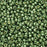 Miyuki Round Seed Beads, 15/0, #94215 Duracoat Galvanized Sea Green (8.2 Gram Tube)