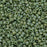 Miyuki Round Seed Beads, 15/0, #94698 Frost Opaque Glaze Rainbow Kiwi (8.2 Gram Tube)