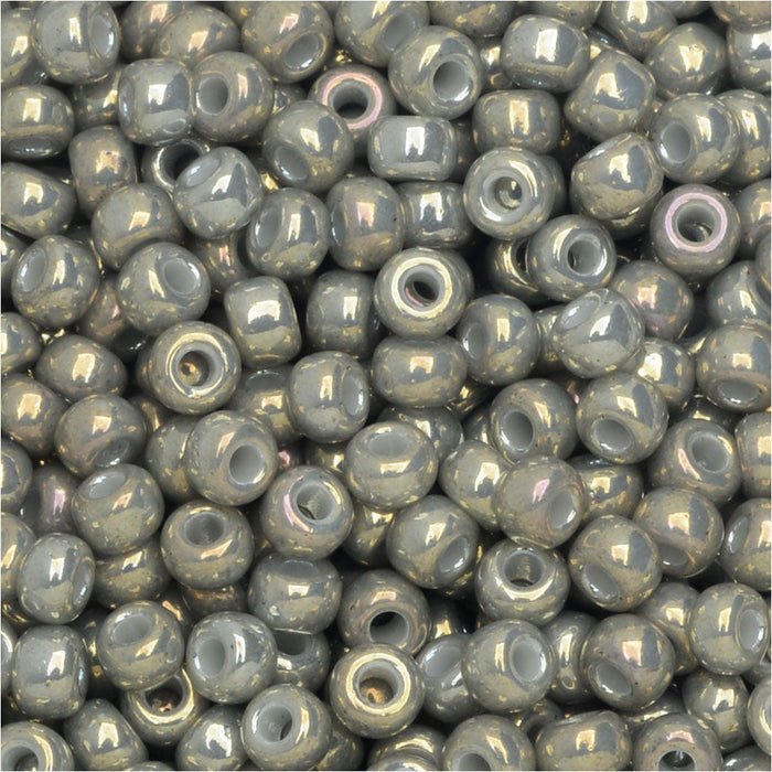 Miyuki Round Seed Beads, 8/0, #91865 Galvanized Gray Light Transparent (22 Gram Tube)