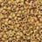 Miyuki Round Seed Beads, 8/0, #94512 Picasso Canary Yellow Matte (22 Gram Tube)