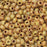 Miyuki Round Seed Beads, 8/0, #94512 Picasso Canary Yellow Matte (22 Gram Tube)