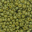 Miyuki Round Seed Beads, 8/0, #94697 Frosted Opaque Glaze Rainbow Olive (22 Gram Tube)