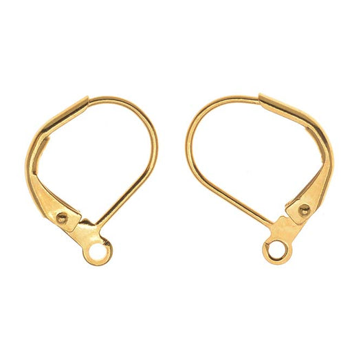 Buy 1 Pair Simple Rose Gold Filled Minimal Leverback Earring Hooks Online  in India  Etsy