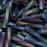 Miyuki Bugle Tube Beads, Twisted Cylinder 12x2.7mm, Matte Black AB (13 Grams)