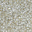 Toho Seed Beads, Round 11/0 #PF21F 'PermaFinish Silver Lined Frosted Crystal' (8 Grams)