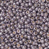Toho Seed Beads, Round 11/0 #PF568 'PermaFinish Galvanized Gunmetal Gray' (8 Grams)