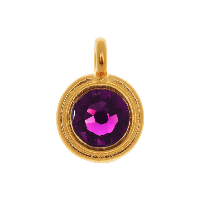 TierraCast Pewter Charm, Round Stepped with Austrian Crystal 16.5x11.5mm, 1 Piece, Gold Plated/Amethyst