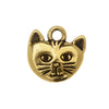 Pewter Charm, Cat 'Whiskers' 14mmx14mm, Antiqued Gold Plated, By TierraCast (1 Piece)