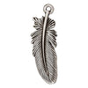 TierraCast Fine Silver Plated Pewter Large Feather Charm 29.5mm x1