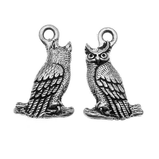 TierraCast Antiqued Silver Lead-Free Charm - Perched Owl 22.5mm (2 Pieces)