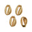 Zola Elements Pendant, Cowrie Shell Focal 17x11mm, Satin Gold Tone (4 Pieces)