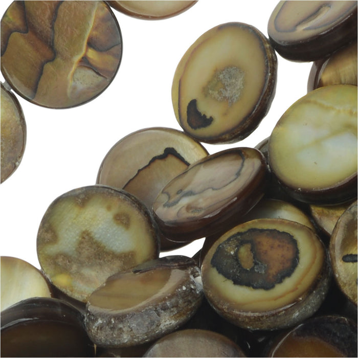 Natural Shell Beads, Flat Coins 10mm, Brown (15.5 Inch Strand)